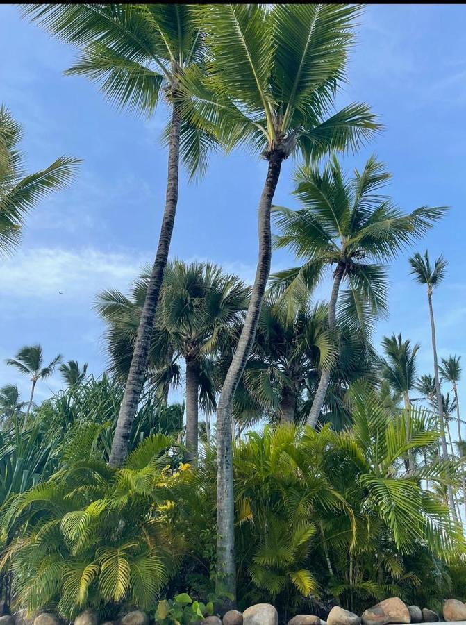 Yonah Comfort Punta Cana, Shared Apartment מראה חיצוני תמונה